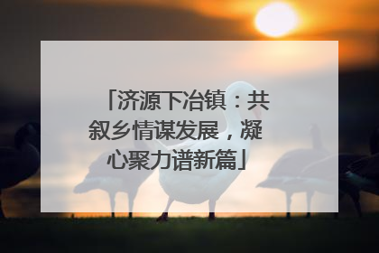 济源下冶镇：共叙乡情谋发展，凝心聚力谱新篇