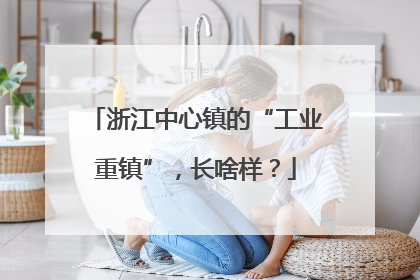 浙江中心镇的“工业重镇”，长啥样？
