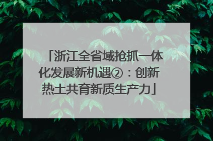 浙江全省域抢抓一体化发展新机遇②：创新热土共育新质生产力