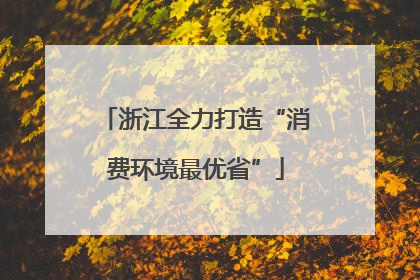 浙江全力打造“消费环境最优省”