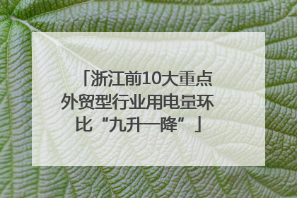 浙江前10大重点外贸型行业用电量环比“九升一降”