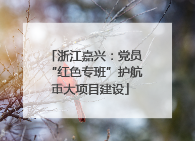 浙江嘉兴：党员“红色专班”护航重大项目建设