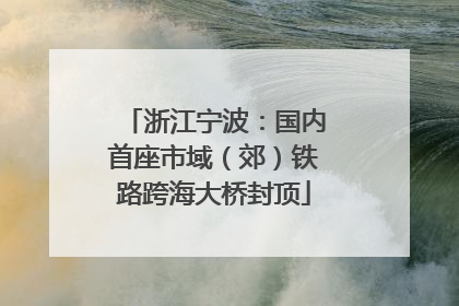 浙江宁波：国内首座市域（郊）铁路跨海大桥封顶