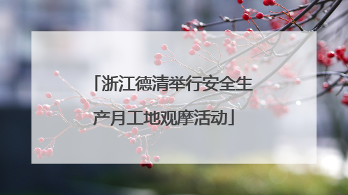 浙江德清举行安全生产月工地观摩活动