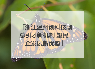 浙江温州创科技副总引才新机制 塑民企发展新优势