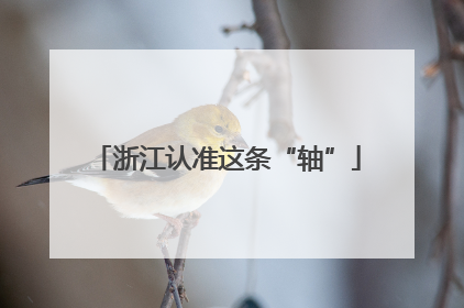 浙江认准这条“轴”