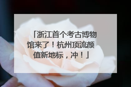 浙江首个考古博物馆来了！杭州顶流颜值新地标，冲！