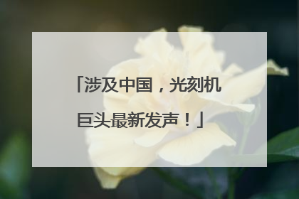 涉及中国，光刻机巨头最新发声！