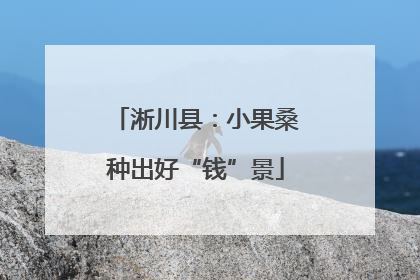 淅川县：小果桑种出好“钱”景