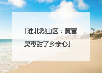 淮北烈山区：黄营灵枣甜了乡亲心
