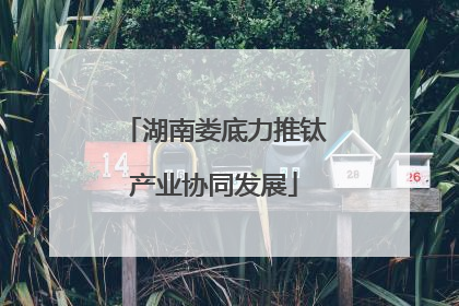 湖南娄底力推钛产业协同发展