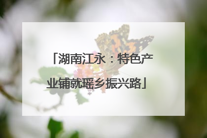 湖南江永：特色产业铺就瑶乡振兴路