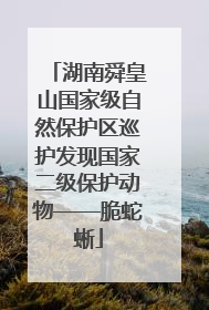 湖南舜皇山国家级自然保护区巡护发现国家二级保护动物——脆蛇蜥