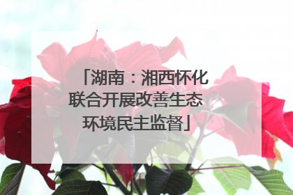 湖南：湘西怀化联合开展改善生态环境民主监督