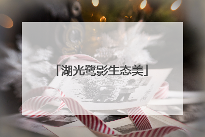 湖光鹭影生态美