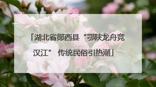 湖北省郧西县“鄂陕龙舟竞汉江” 传统民俗引热潮