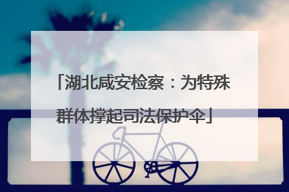 湖北咸安检察：为特殊群体撑起司法保护伞
