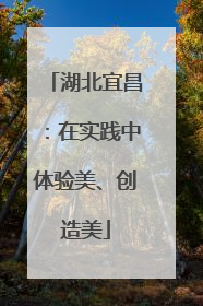 湖北宜昌：在实践中体验美、创造美
