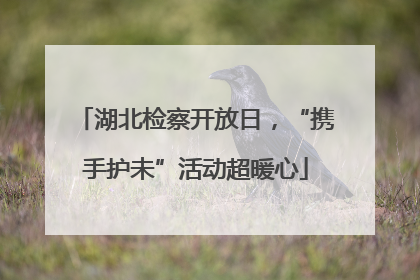 湖北检察开放日，“携手护未”活动超暖心