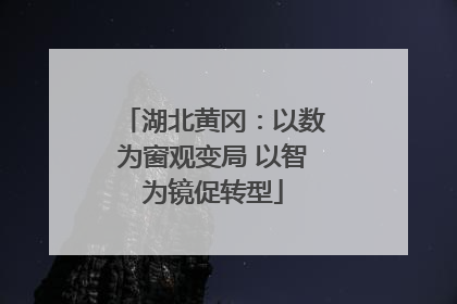 湖北黄冈：以数为窗观变局 以智为镜促转型