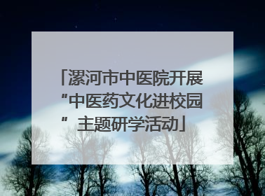 漯河市中医院开展“中医药文化进校园”主题研学活动