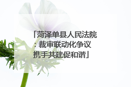 菏泽单县人民法院：裁审联动化争议 携手共建促和谐