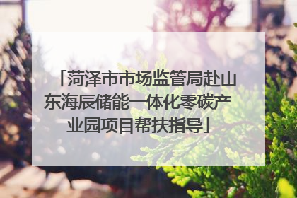 菏泽市市场监管局赴山东海辰储能一体化零碳产业园项目帮扶指导