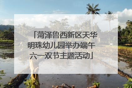 菏泽鲁西新区天华明珠幼儿园举办端午六一双节主题活动