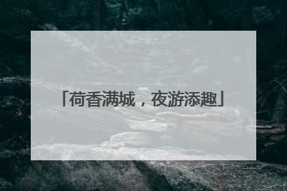 荷香满城，夜游添趣