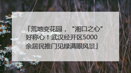 荒地变花园，“湘口之心”好称心！武汉经开区5000余居民推门见绿满眼风景