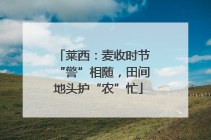 莱西：麦收时节“警”相随，田间地头护“农”忙