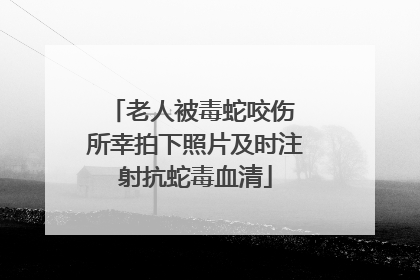 老人被毒蛇咬伤 所幸拍下照片及时注射抗蛇毒血清