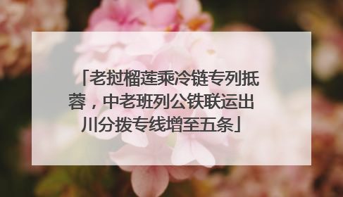 老挝榴莲乘冷链专列抵蓉，中老班列公铁联运出川分拨专线增至五条