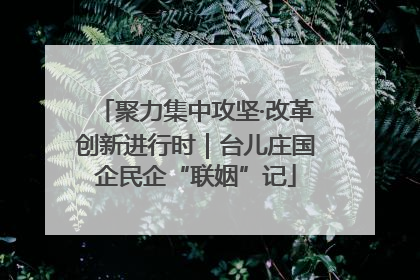 聚力集中攻坚·改革创新进行时｜台儿庄国企民企“联姻”记