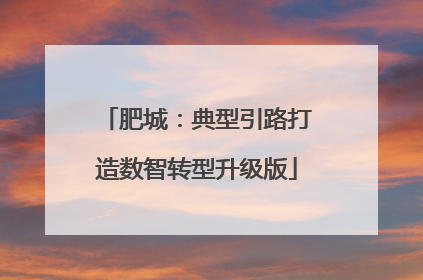 肥城：典型引路打造数智转型升级版