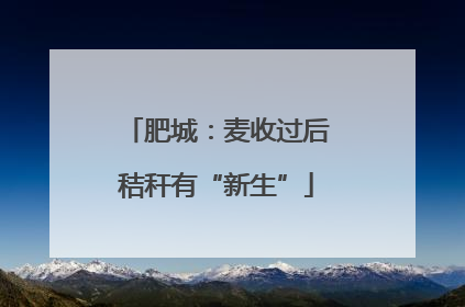 肥城：麦收过后秸秆有“新生”