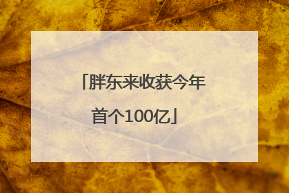 胖东来收获今年首个100亿