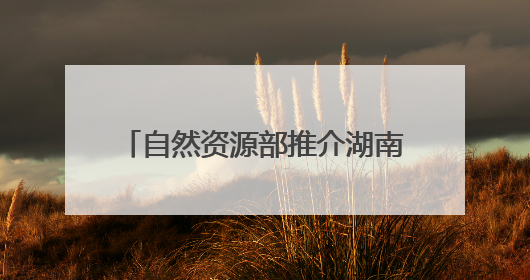 自然资源部推介湖南5个成功避险案例