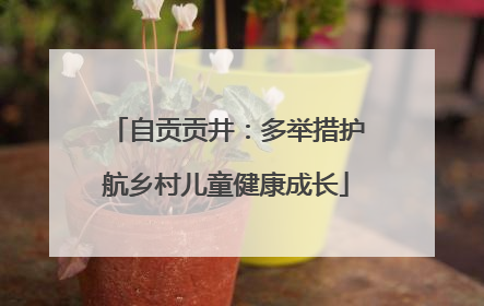 自贡贡井：多举措护航乡村儿童健康成长