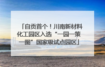 自贡首个！川南新材料化工园区入选“一园一策一图”国家级试点园区