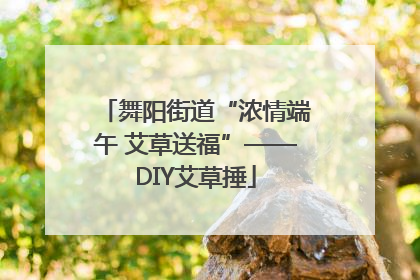 舞阳街道“浓情端午 艾草送福”——DIY艾草捶