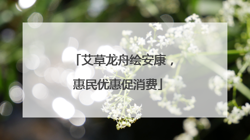 艾草龙舟绘安康，惠民优惠促消费