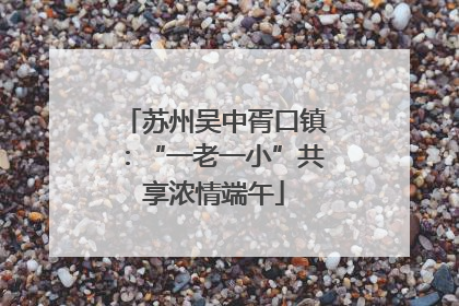 苏州吴中胥口镇：“一老一小”共享浓情端午
