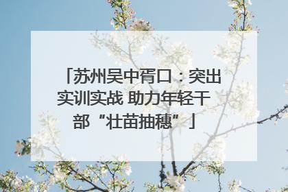 苏州吴中胥口：突出实训实战 助力年轻干部“壮苗抽穗”