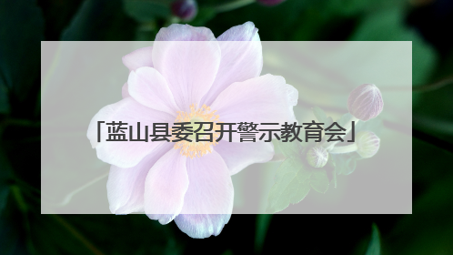 蓝山县委召开警示教育会