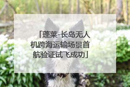 蓬莱-长岛无人机跨海运输场景首航验证试飞成功