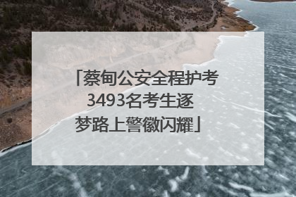 蔡甸公安全程护考 3493名考生逐梦路上警徽闪耀
