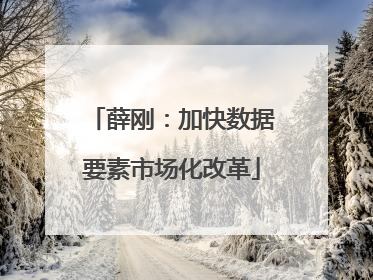 薛刚：加快数据要素市场化改革
