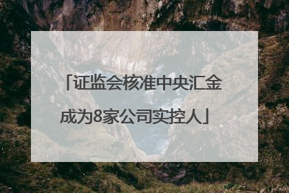 证监会核准中央汇金成为8家公司实控人