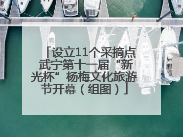 设立11个采摘点 武宁第十一届“新光杯”杨梅文化旅游节开幕（组图）